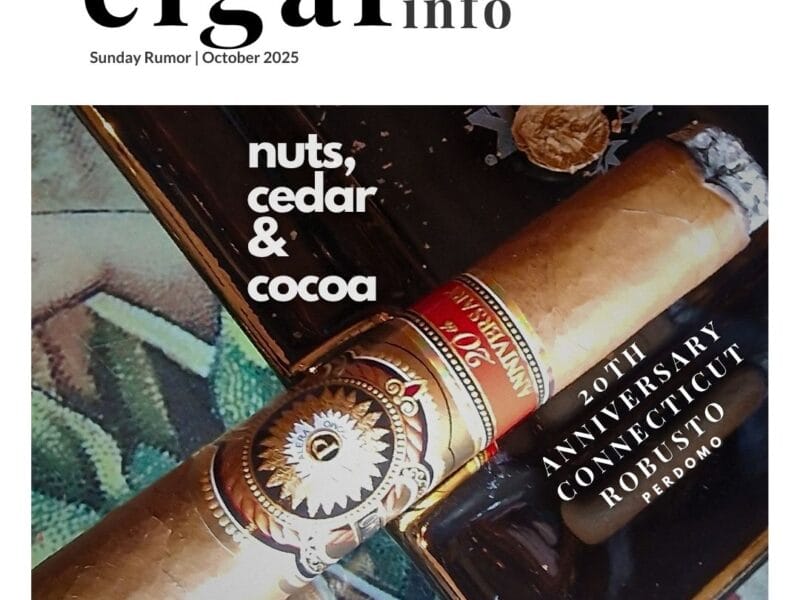PERDOMO 20TH ANNIVERSARY CONNECTICUT ROBUSTO